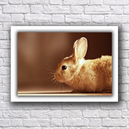 Подарък картина с рамка с животни Подарък картина с рамка с животни